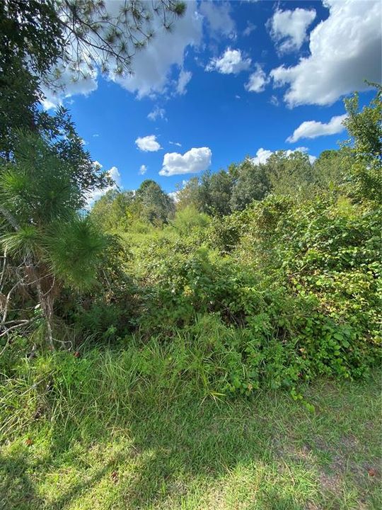 Recently Sold: $84,779 (2.34 acres)