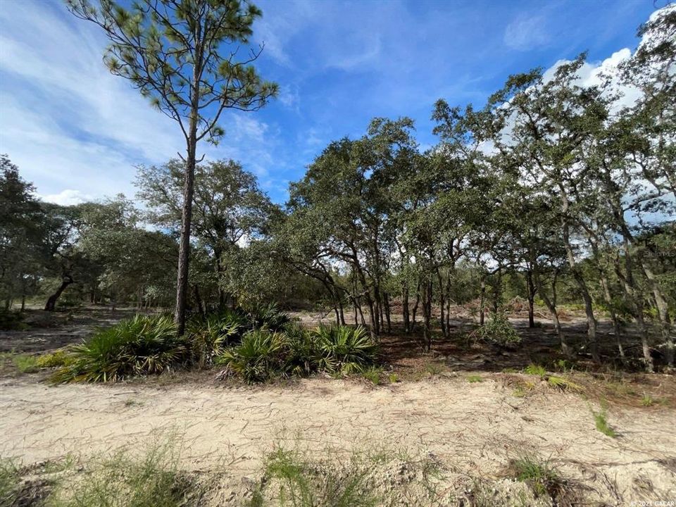 Vendido Recientemente: $19,900 (1.25 acres)