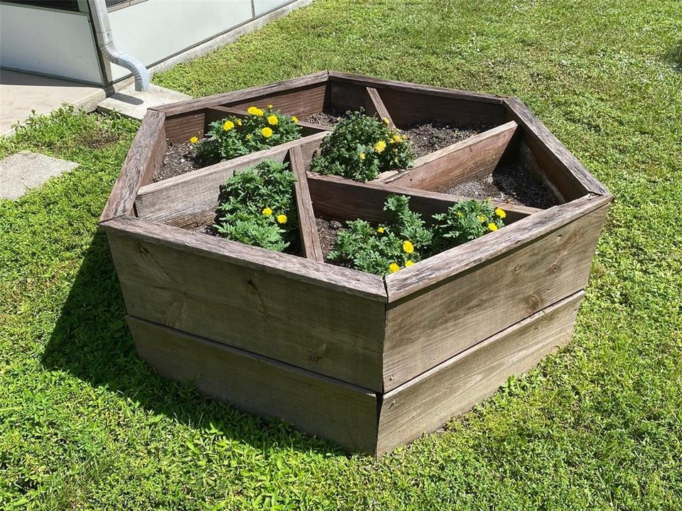 Garden Box