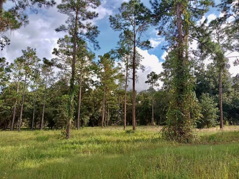 Recently Sold: $99,000 (3.94 acres)