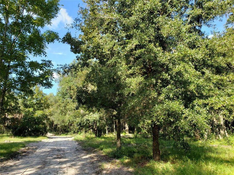 Recently Sold: $175,000 (2.50 acres)