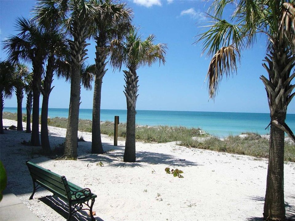 Beach view from back exterior of building