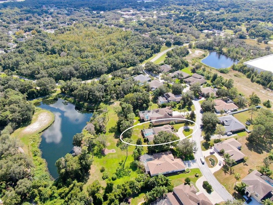 Pond in back of property