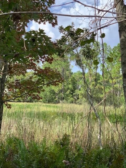 Recently Sold: $35,000 (1.01 acres)