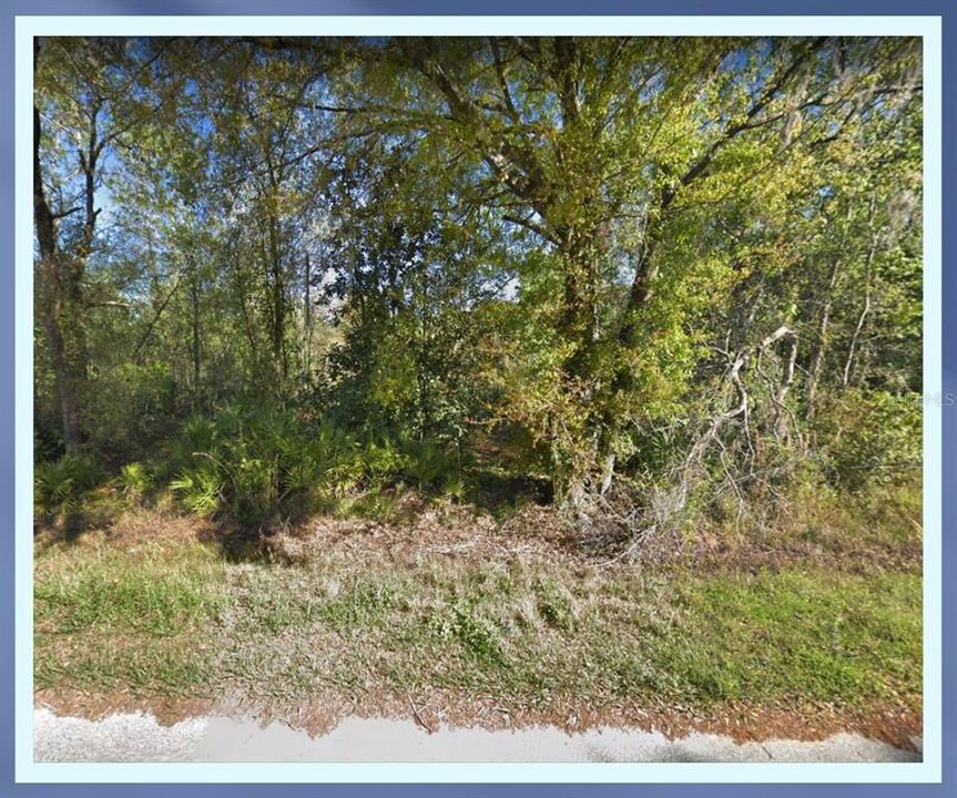 Recently Sold: $74,900 (1.38 acres)