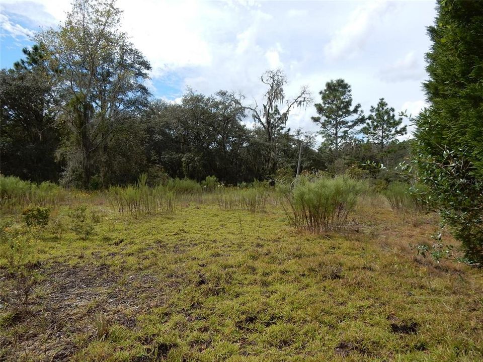 Recently Sold: $39,500 (2.58 acres)