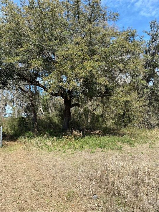Recently Sold: $34,900 (0.29 acres)
