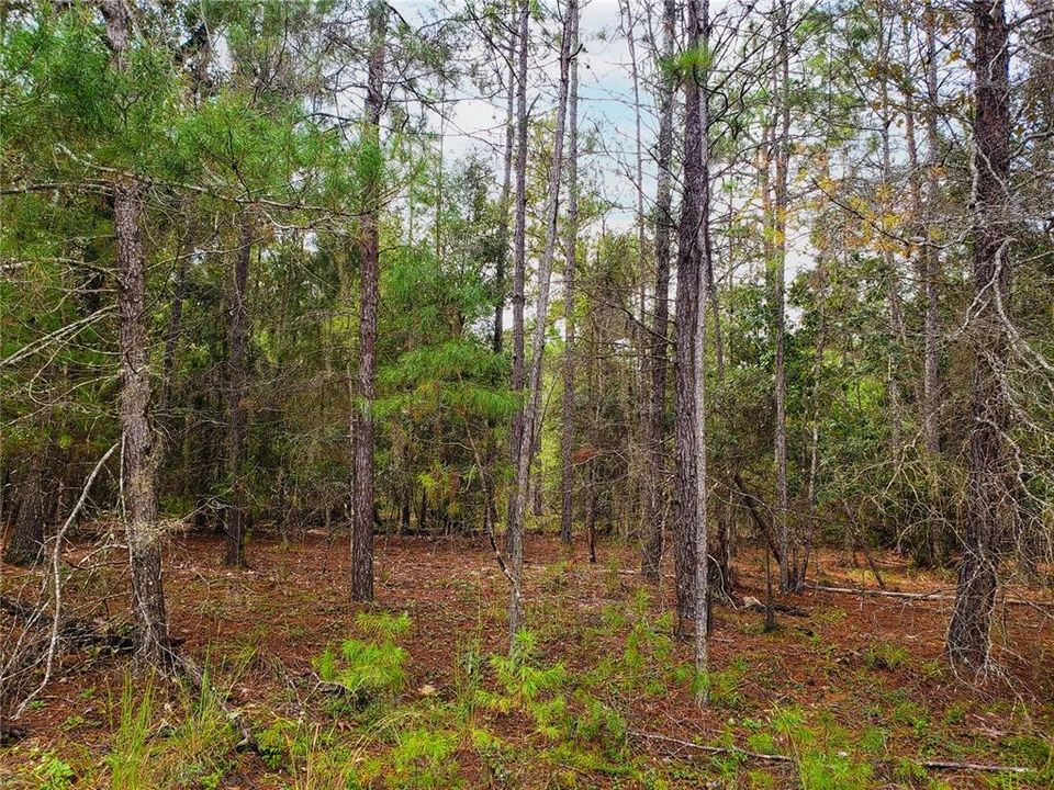 Recently Sold: $24,250 (1.47 acres)