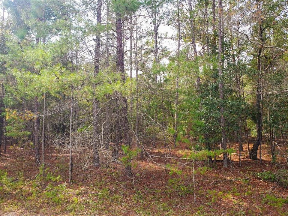 Recently Sold: $24,250 (1.47 acres)