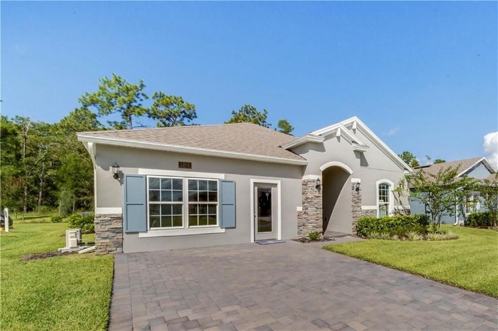 Mulberry Stock Photo Not Actual Home