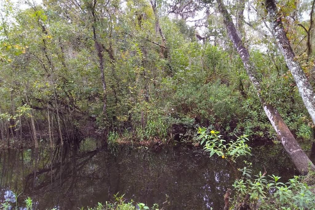 Myakka River