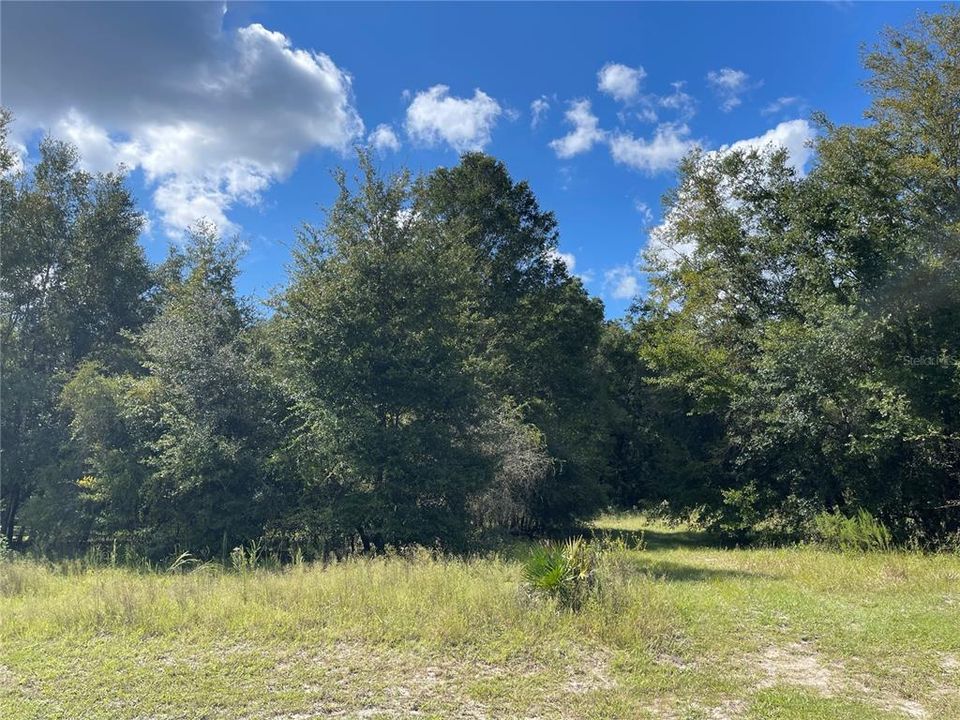 Recently Sold: $85,000 (2.23 acres)