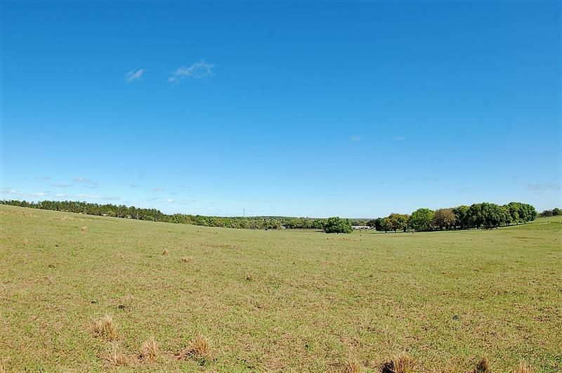 For Sale: $825,000 (25.00 acres)