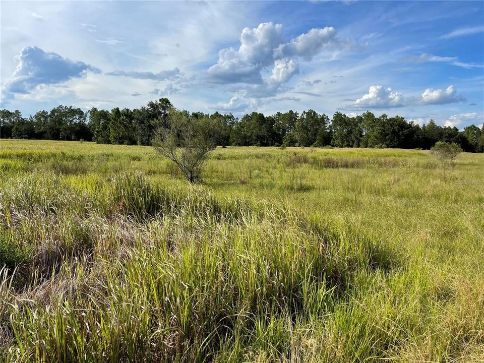 Recently Sold: $62,000 (1.92 acres)