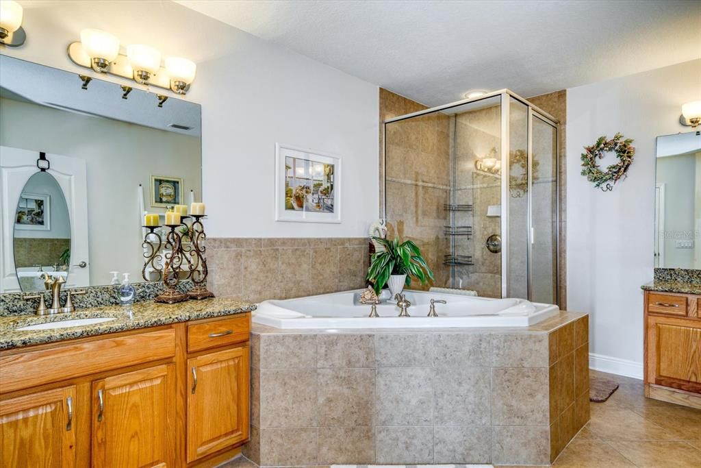Master en-suite with water closet, two separate vanities, spacious shower and jetted spa.