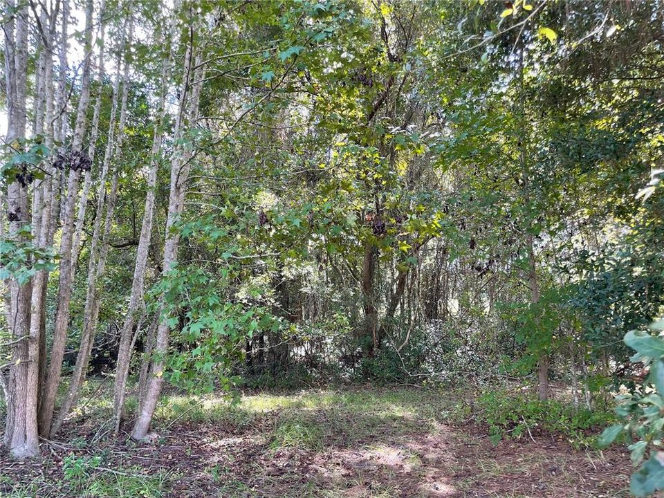 Recently Sold: $119,500 (6.05 acres)