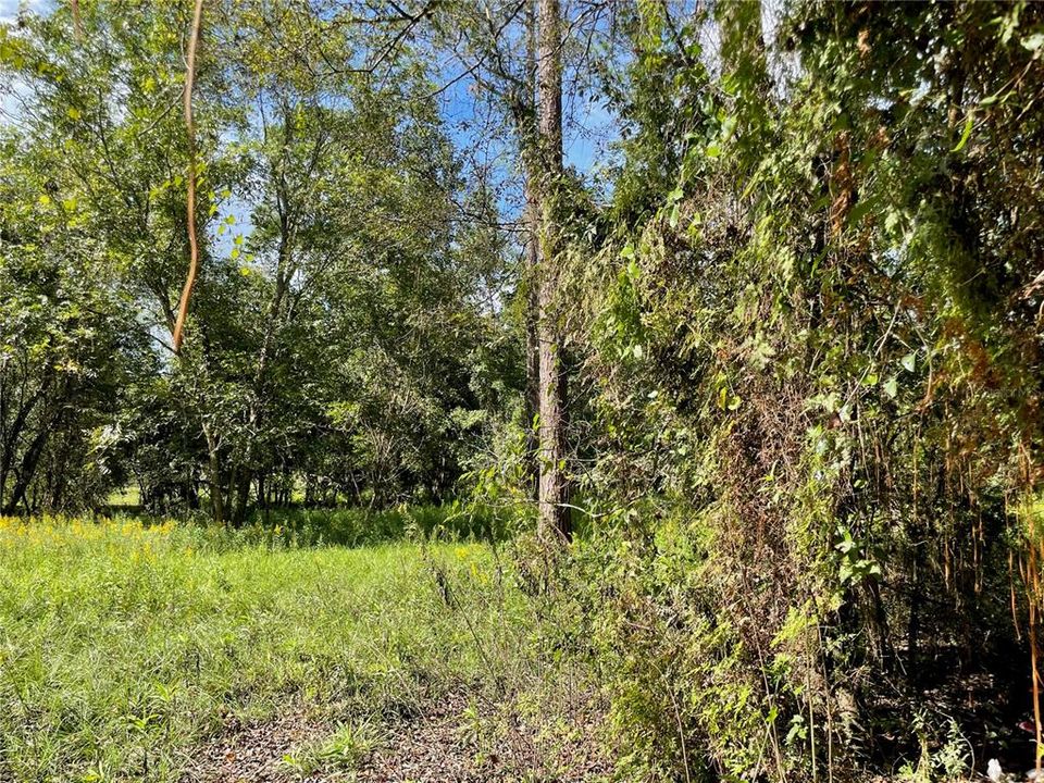 Vendido Recientemente: $119,500 (6.05 acres)