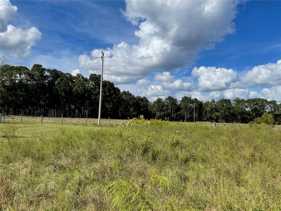 NE corner where PP and Well casing, septic tank are located. Facing E/NE