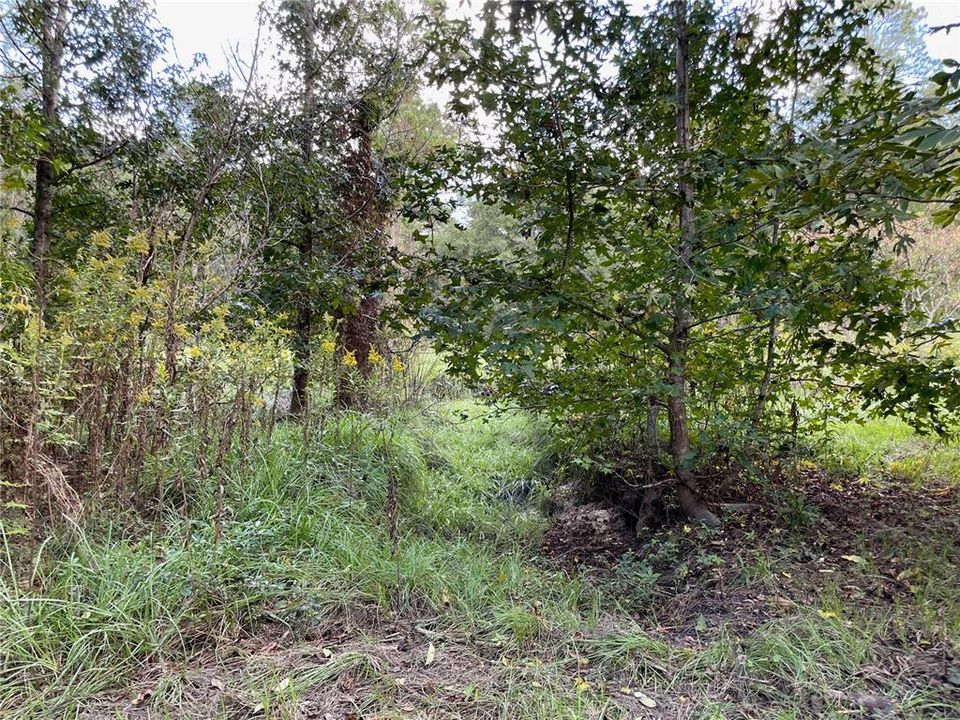 Recently Sold: $119,500 (6.05 acres)