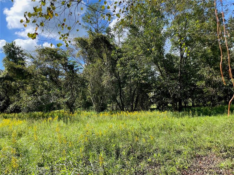 Recently Sold: $119,500 (6.05 acres)