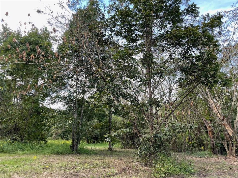 Vendido Recientemente: $119,500 (6.05 acres)