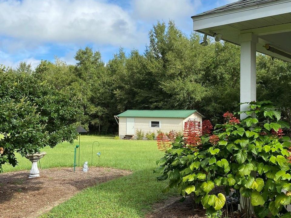 MATURE LANDSCAPING & FRUIT TREES