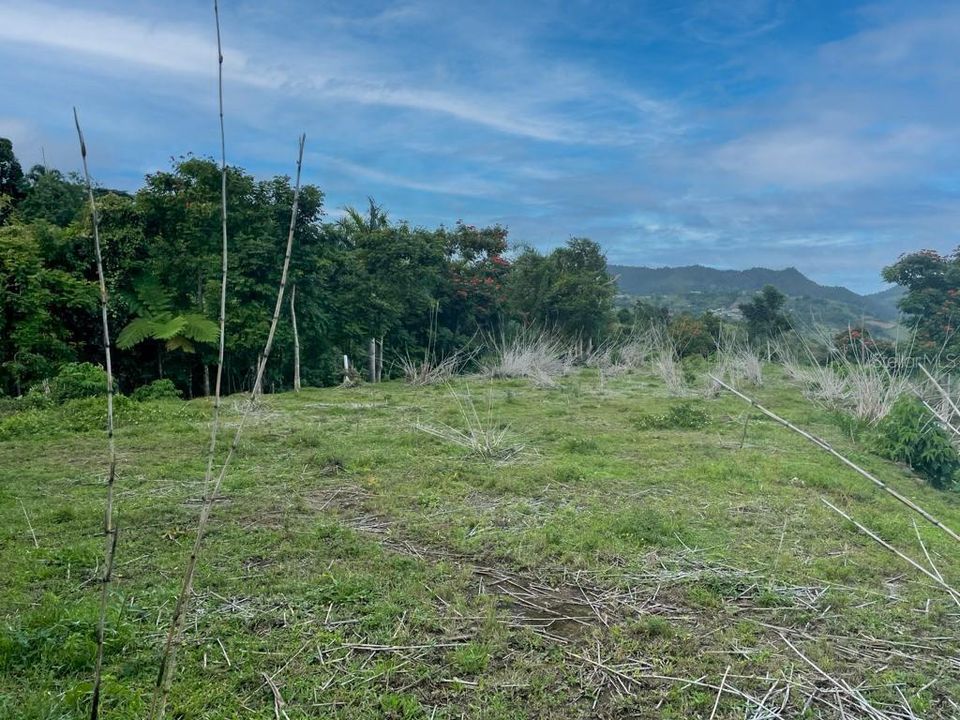 Vendido Recientemente: $155,000 (8.90 acres)