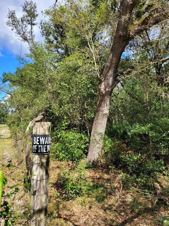 Recently Sold: $16,500 (1.25 acres)