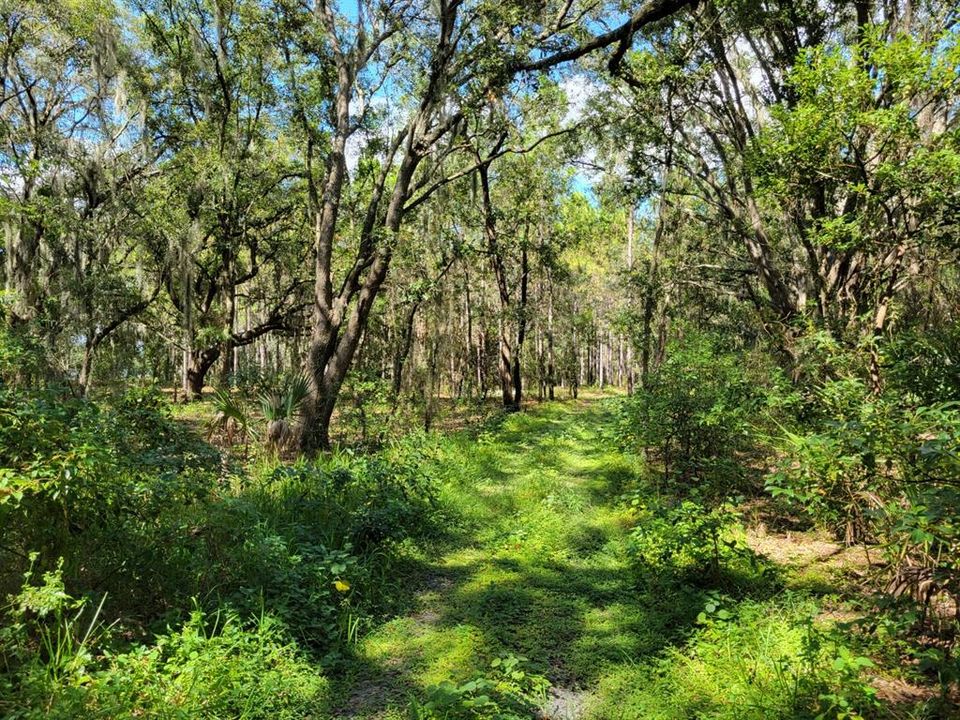 Recently Sold: $325,000 (10.00 acres)