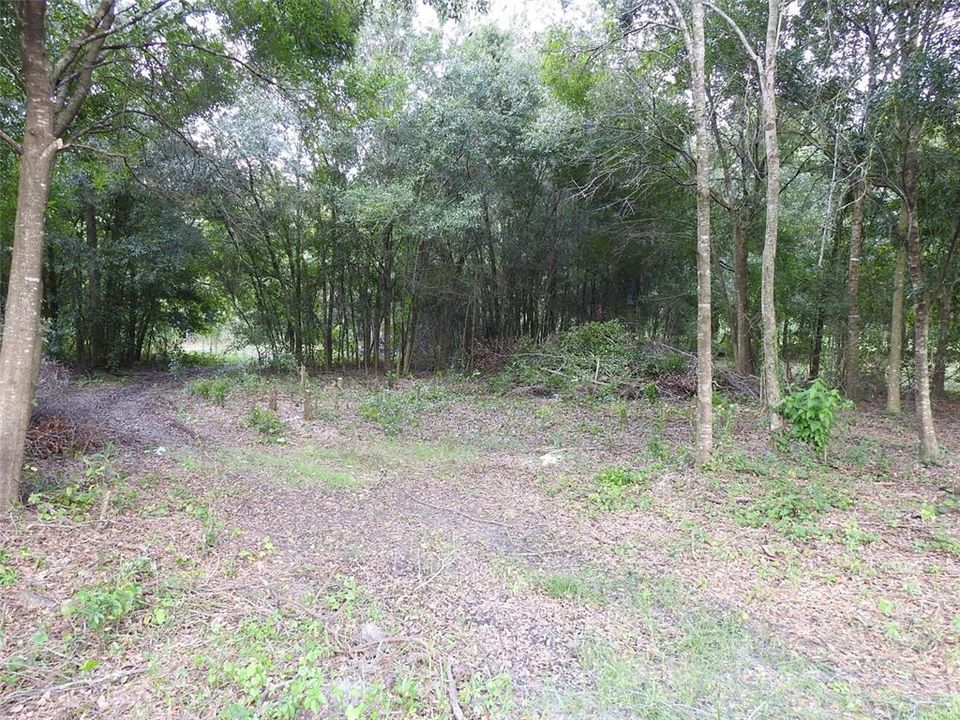 Vendido Recientemente: $32,000 (0.92 acres)