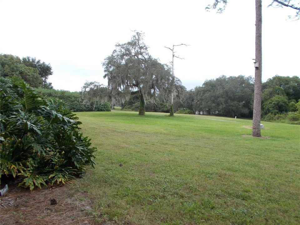 Golf course view