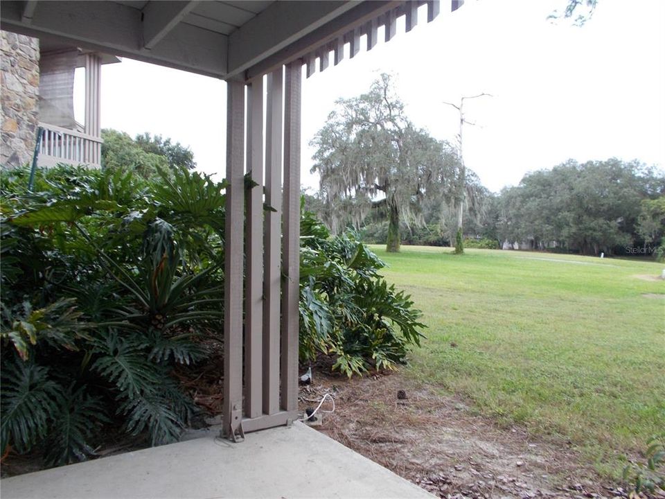 Patio view