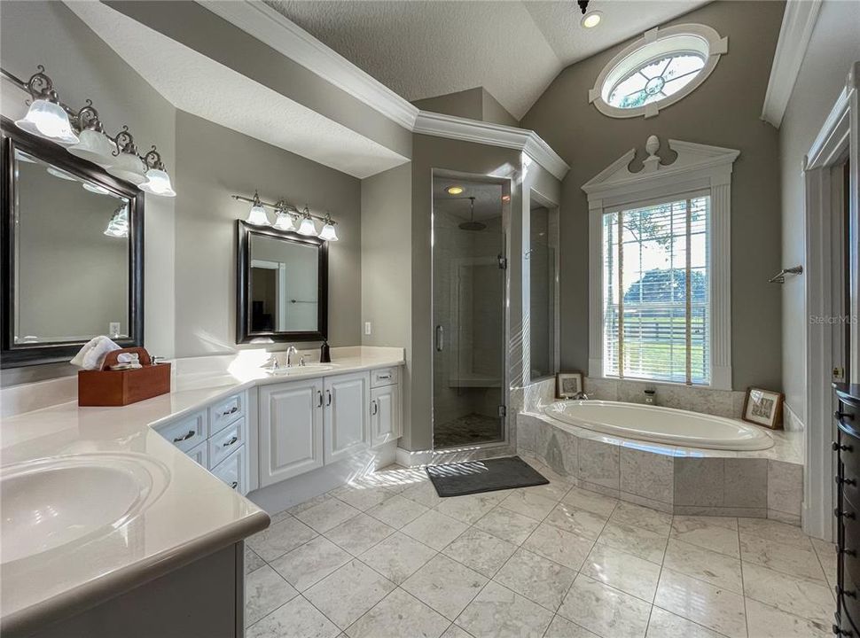 Luxurious master bath