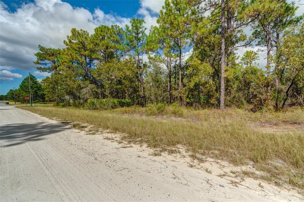 Recently Sold: $29,900 (0.46 acres)