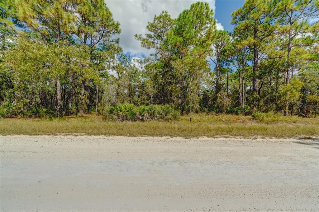 Recently Sold: $29,900 (0.46 acres)