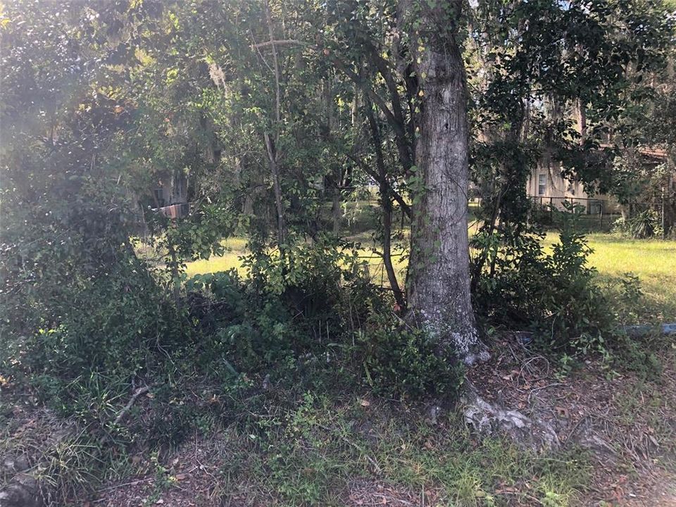 Recently Sold: $14,000 (0.16 acres)