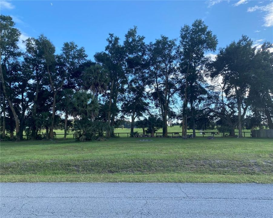 Recently Sold: $24,900 (0.34 acres)