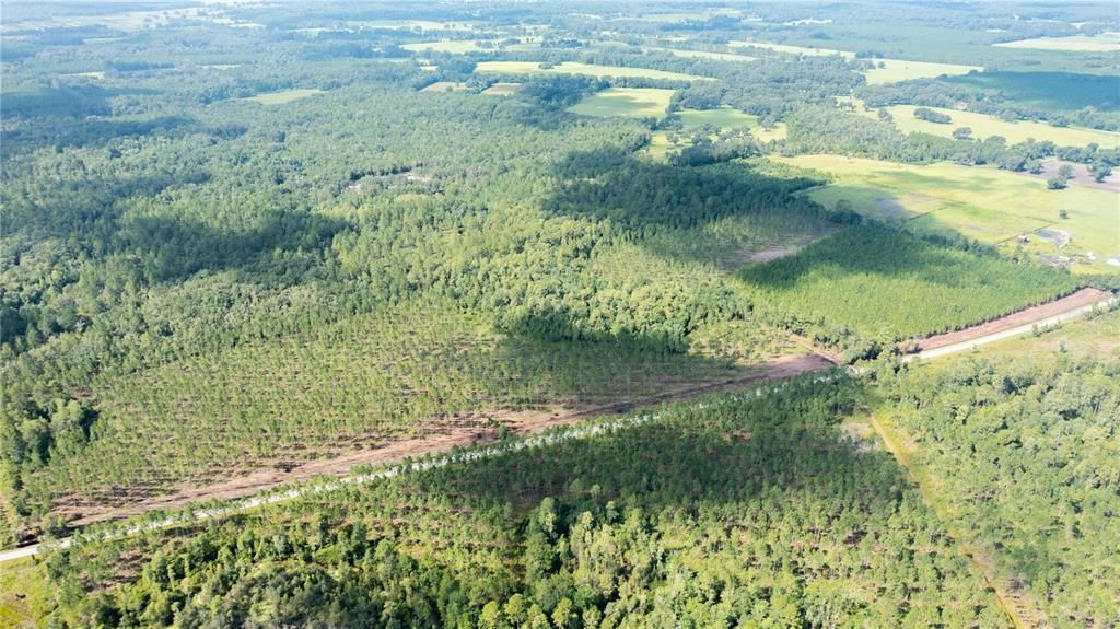 Недавно продано: $95,120 (11.89 acres)