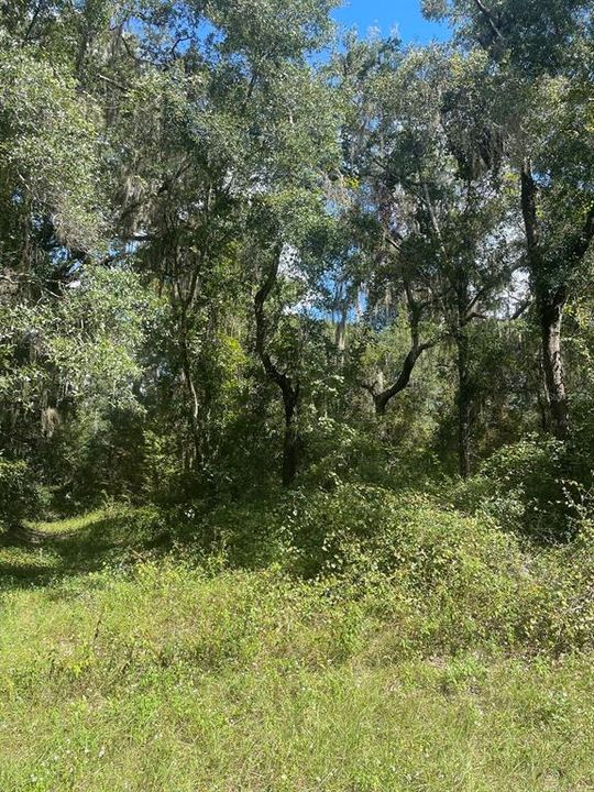 Recently Sold: $27,500 (1.06 acres)