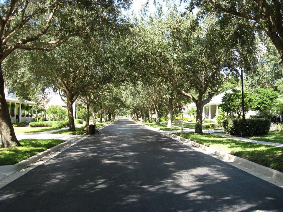 Tree lined Harbour Green Dr