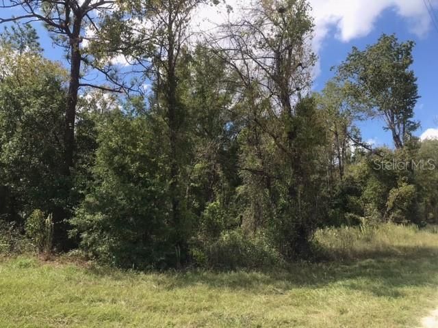 Recently Sold: $19,000 (1.15 acres)
