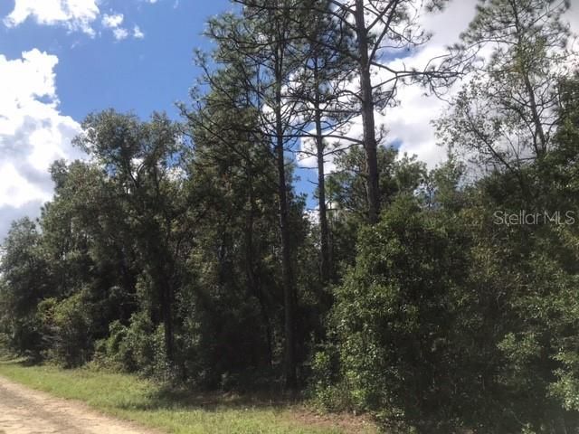 Recently Sold: $19,000 (1.15 acres)