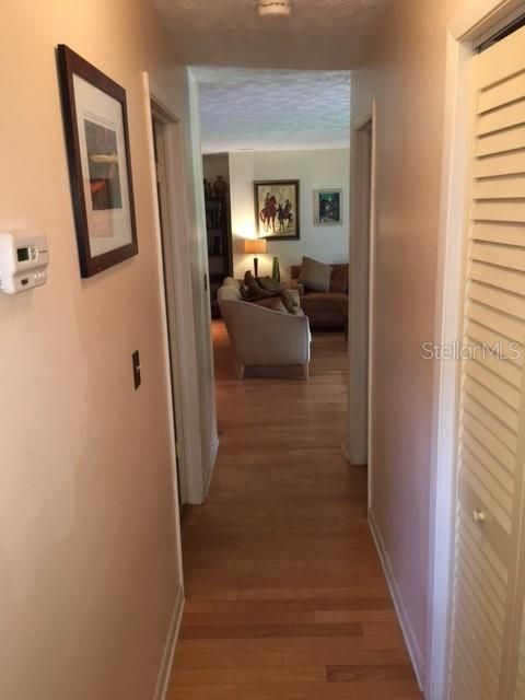 Hallway to Living Room