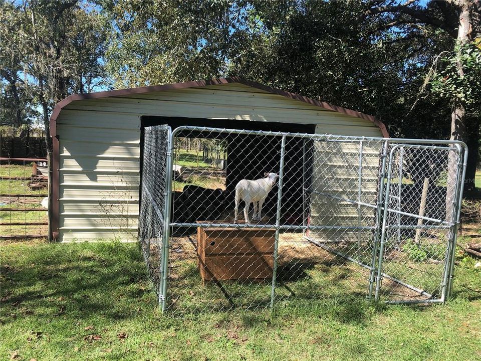 Larger shed with concrete floor