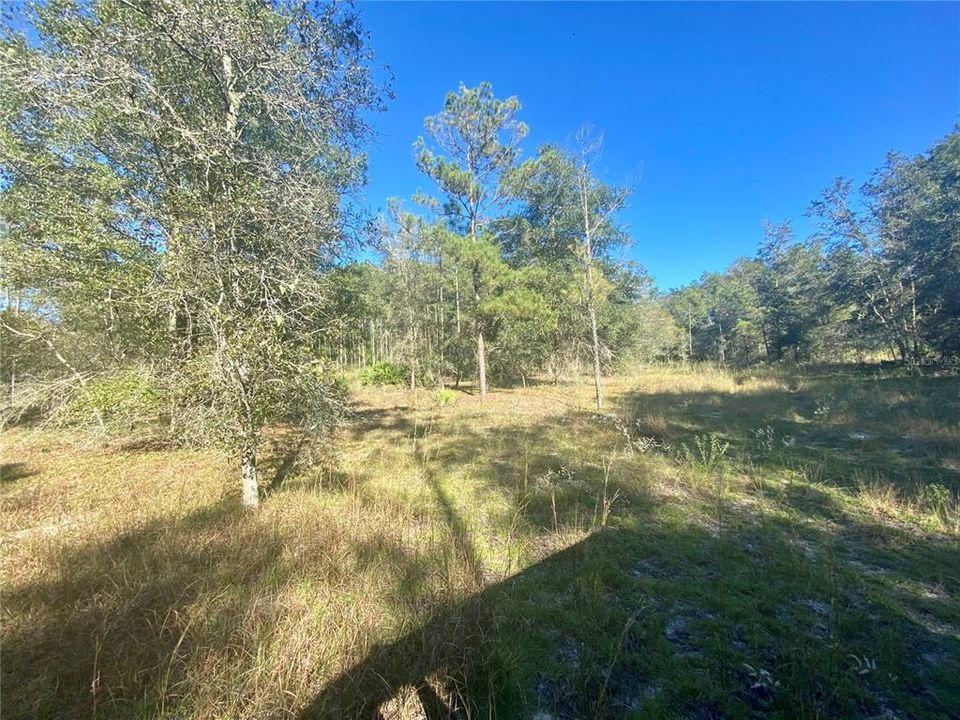 Recently Sold: $179,000 (20.00 acres)