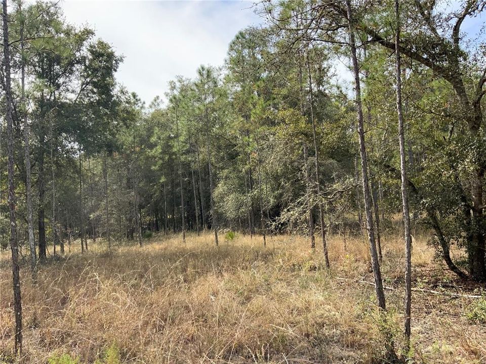 Recently Sold: $179,000 (20.00 acres)