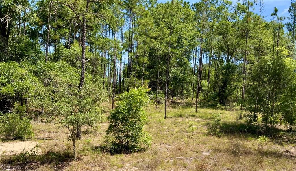 Recently Sold: $179,000 (20.00 acres)
