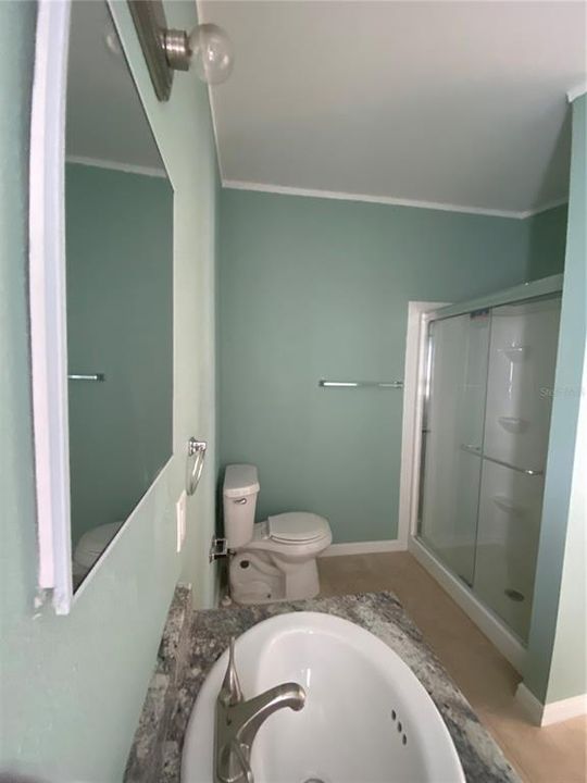 Owner's Bathroom