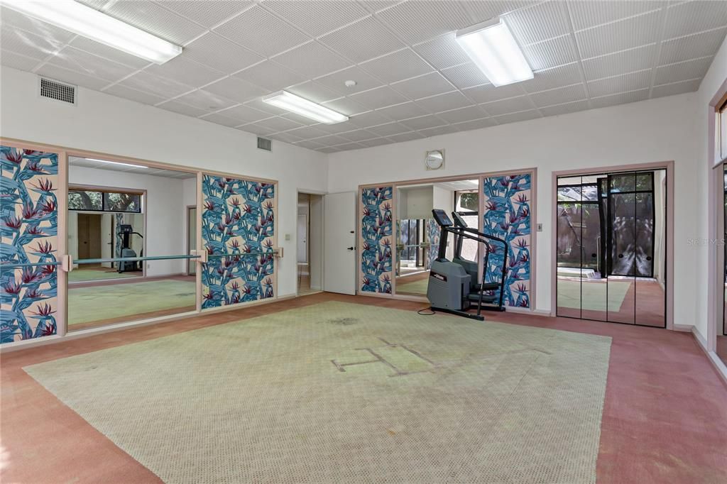 Workout Room/Gym