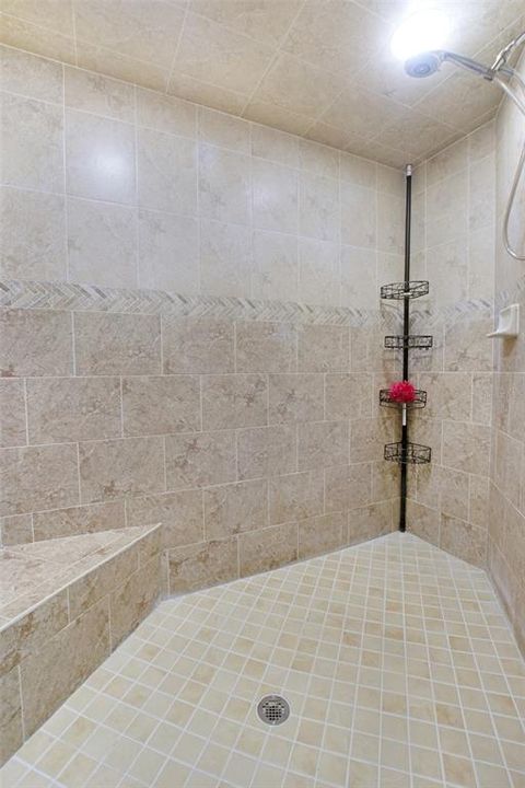 Master Bath Walk-in Shower